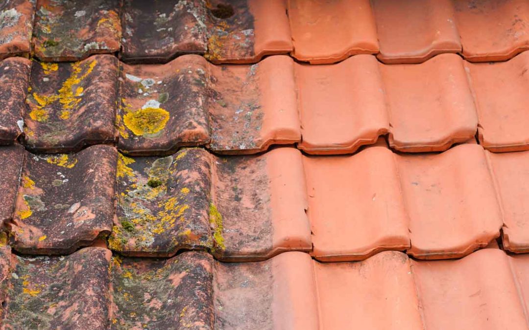 Is Roof Cleaning Necessary? When and Why Clean Your Roof
