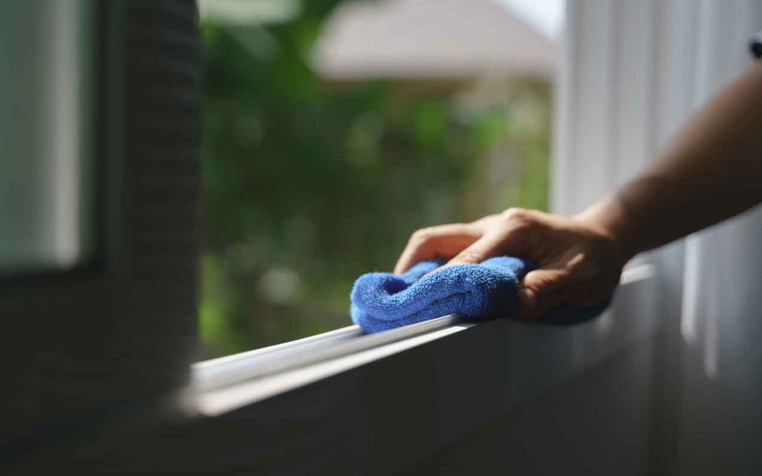 Streak-Free Outdoor Window Cleaning Tips