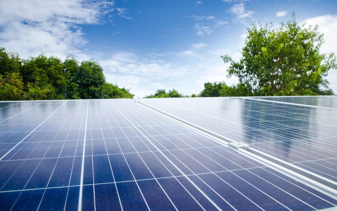 Solar Panel Cleaning 101: Why, When, and How